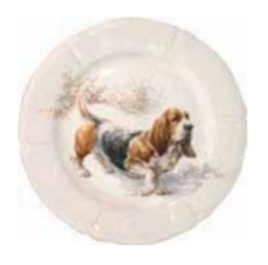 Sologne Basset Hound Dessert