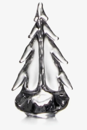 Vermont Evergreen Tree